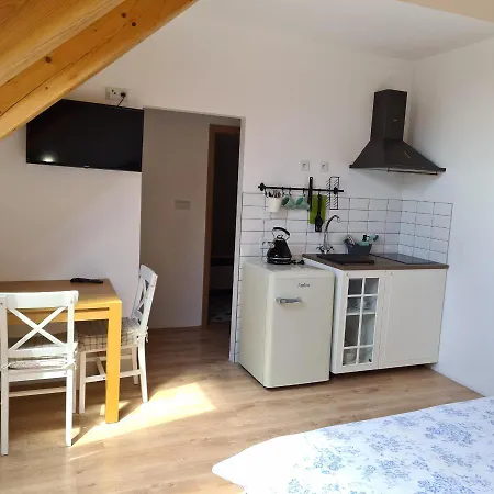 Guest house Sodomkuv Statek Czap Skutec