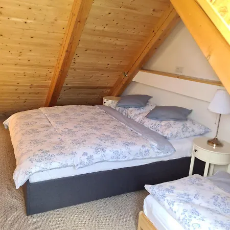 Guest house Sodomkuv Statek Czap