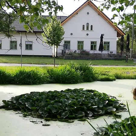 Sodomkuv Statek Czap